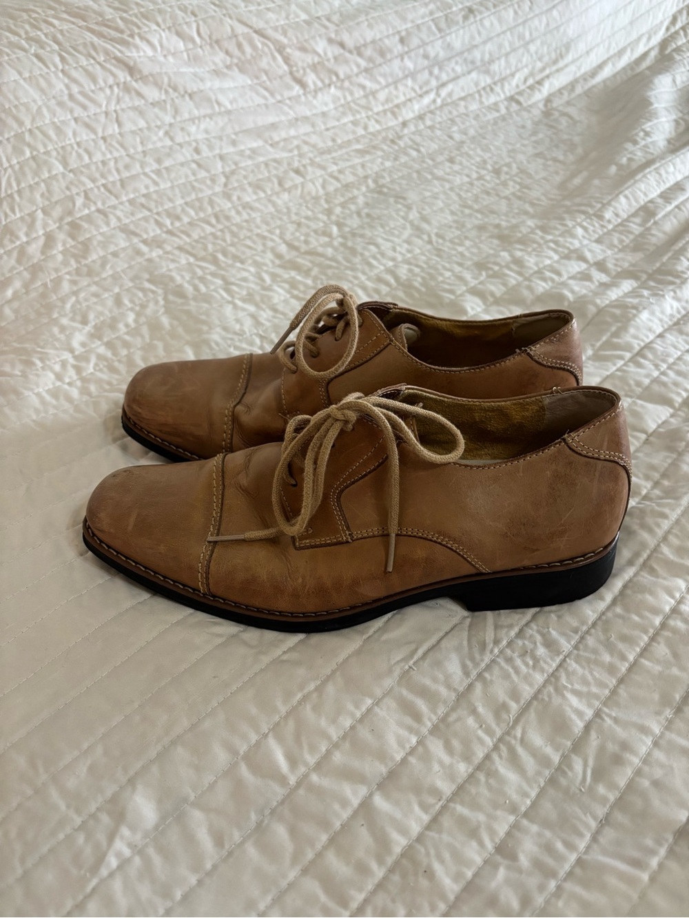Sandro Moscoloni Light Tan Leather Derby Shoes